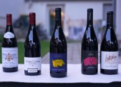 Ludwig 2021 di Elena Walch è il Miglior Pinot Nero italiano