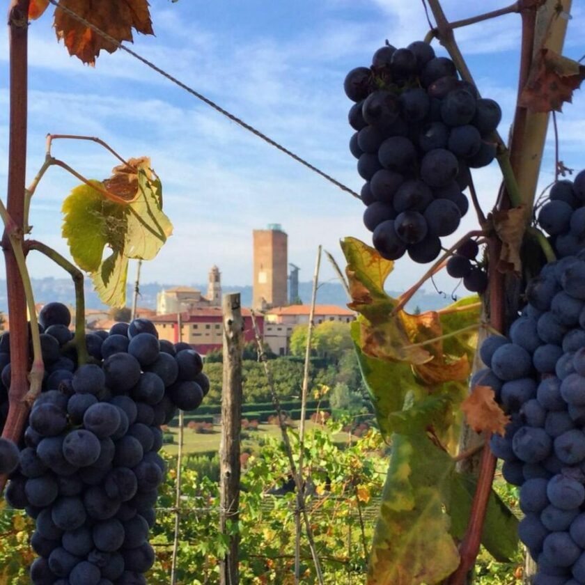 Barolo e Barbaresco blindati dal Consorzio no a versante Nord e imbottigliamento all estero