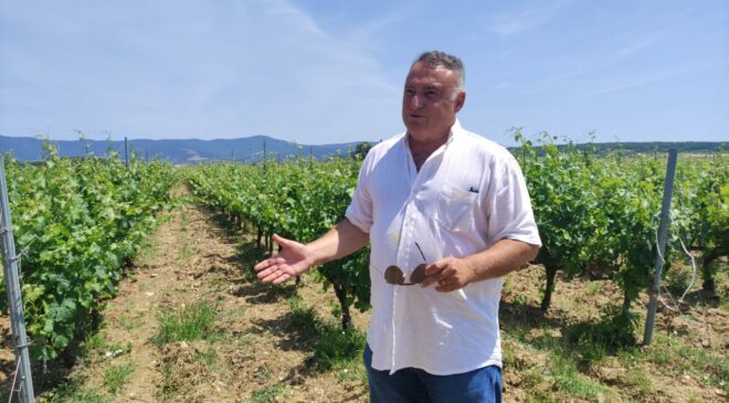 Benvenuti a Chamlija il paradiso dei vini turchi cosi Mustafa Camlica scrive la storia del vino in Turchia