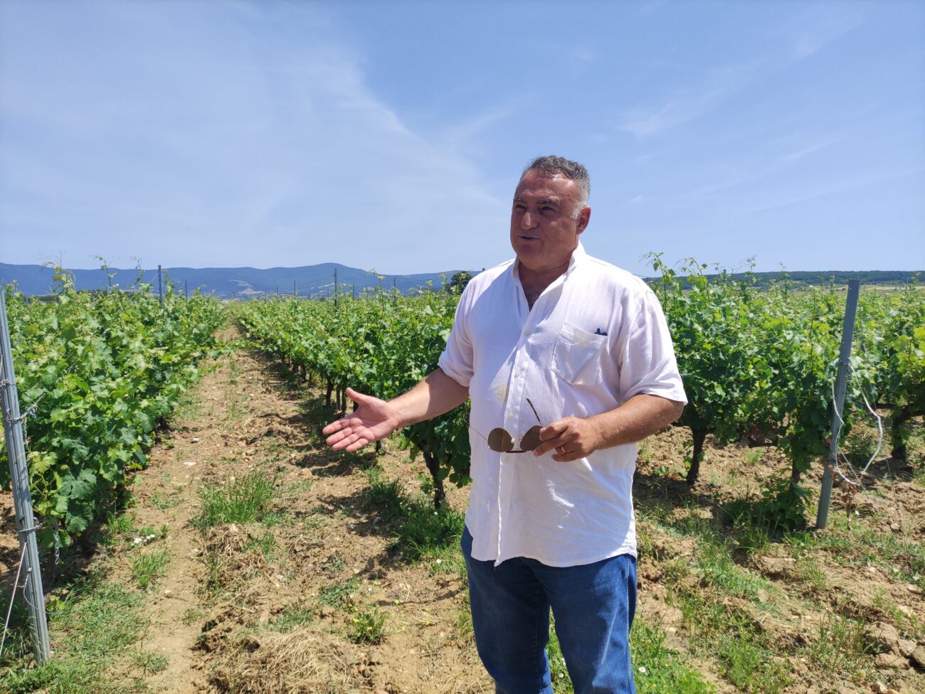 Benvenuti a Chamlija, il paradiso dei vini turchi così Mustafa Camlica scrive la storia del vino in Turchia Benvenuti a Chamlija, il paradiso dei vini turchi così Mustafa Camlica scrive la storia del vino in Turchia