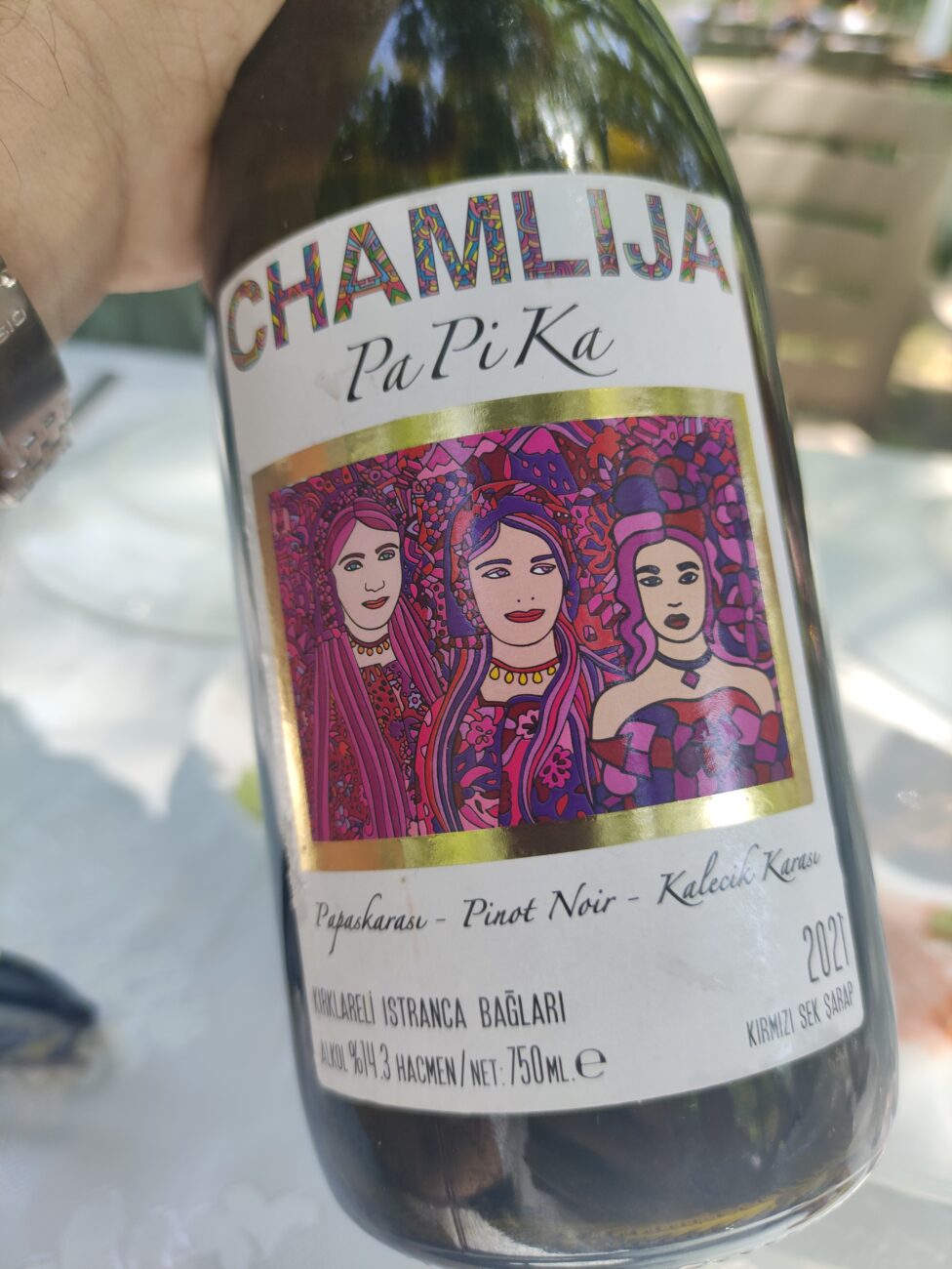 Benvenuti a Chamlija il paradiso dei vini turchi cosi Mustafa Camlica scrive la storia pa pi ka