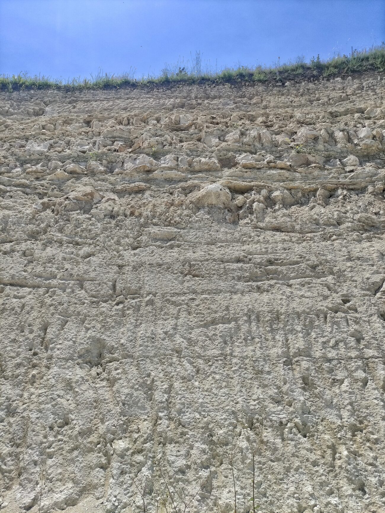 Benvenuti a Chamlija il paradiso dei vini turchi cosi Mustafa Camlica scrive la storia terre bianche vino turchia