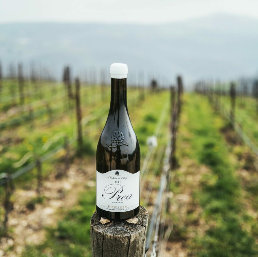 Valpolicella svolta bianchista per la Valpantena ecco Prea Bianco Verona Igt la collina dei ciliegi