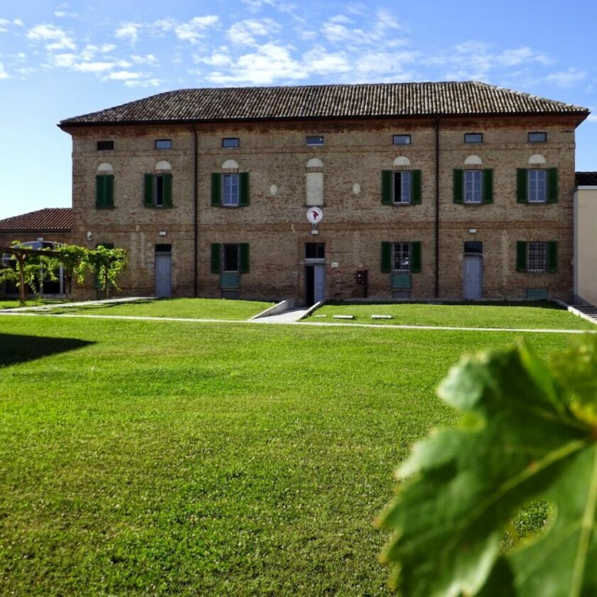 Ribaltone imbottigliatori Consorzio Vini Oltrepo dimissioni cinque consiglieri