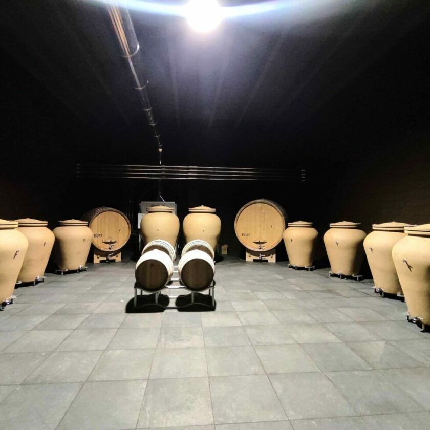 Luca Leggero Cantina Rivelazione Guida Winemag 2025 Villareggia caput mundi erbaluce nebbiolo canavese 3