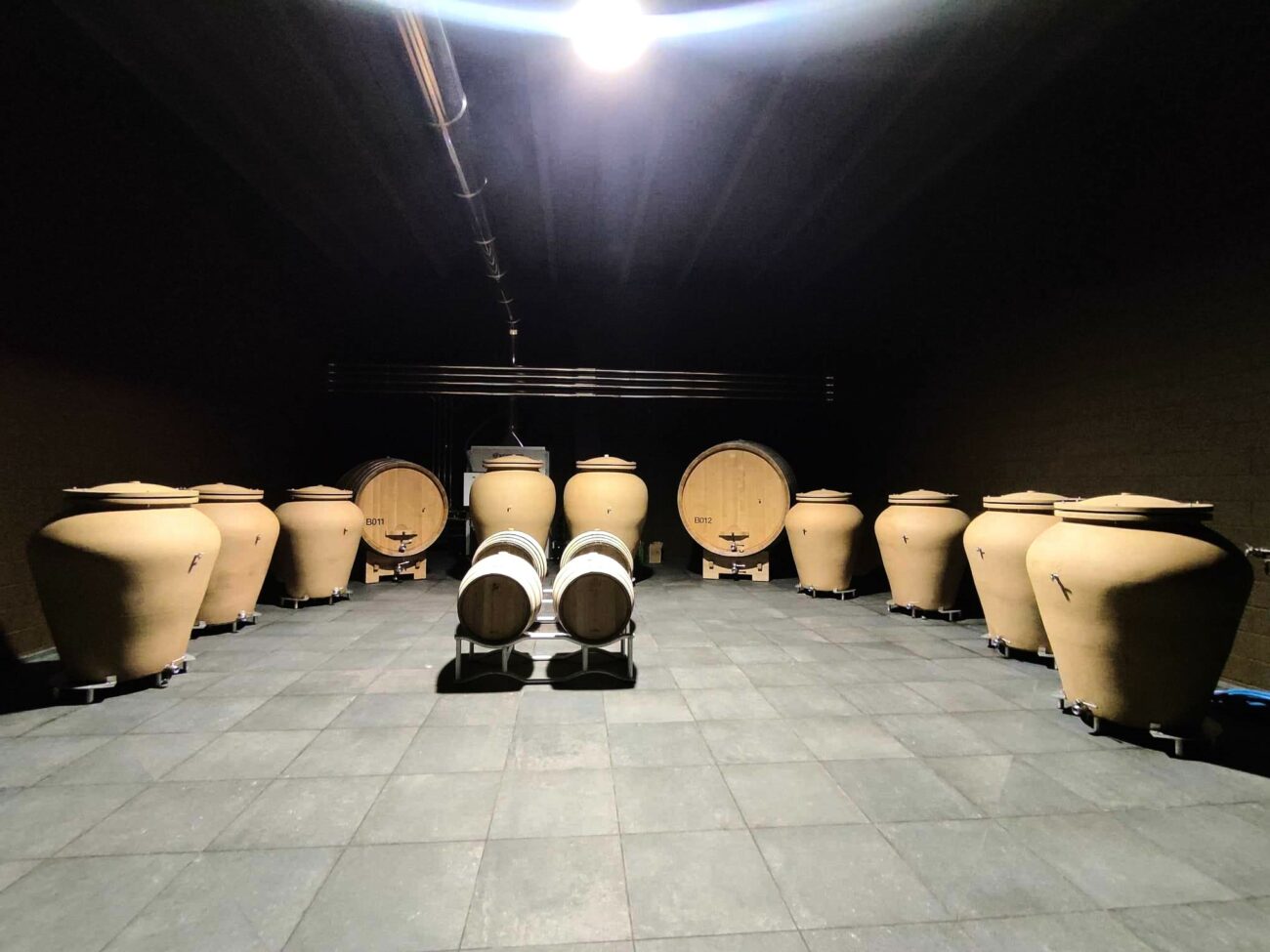 Luca Leggero Cantina Rivelazione Guida Winemag 2025 Villareggia caput mundi erbaluce nebbiolo canavese 3
