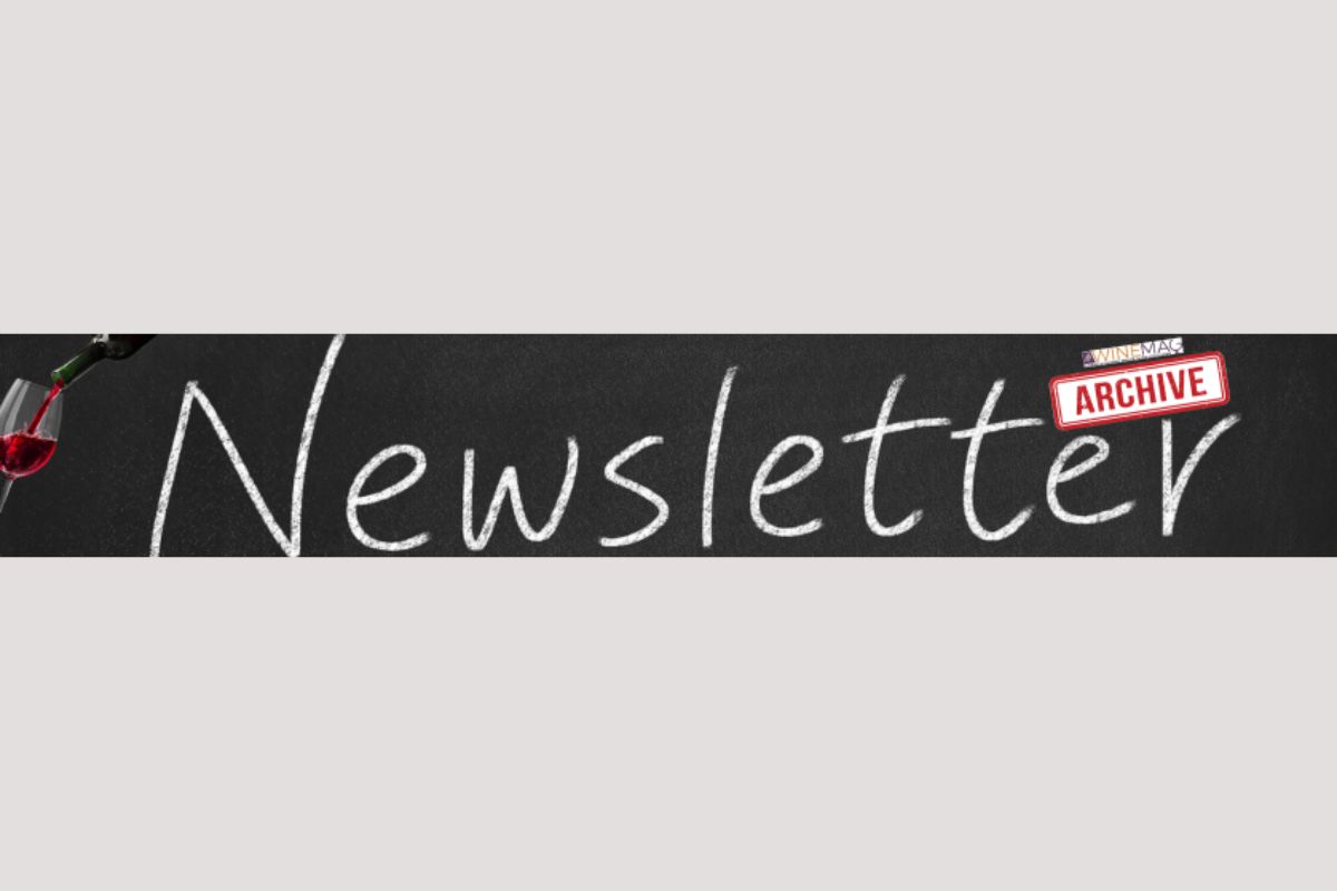 newsletter archive winemag archivio copertina