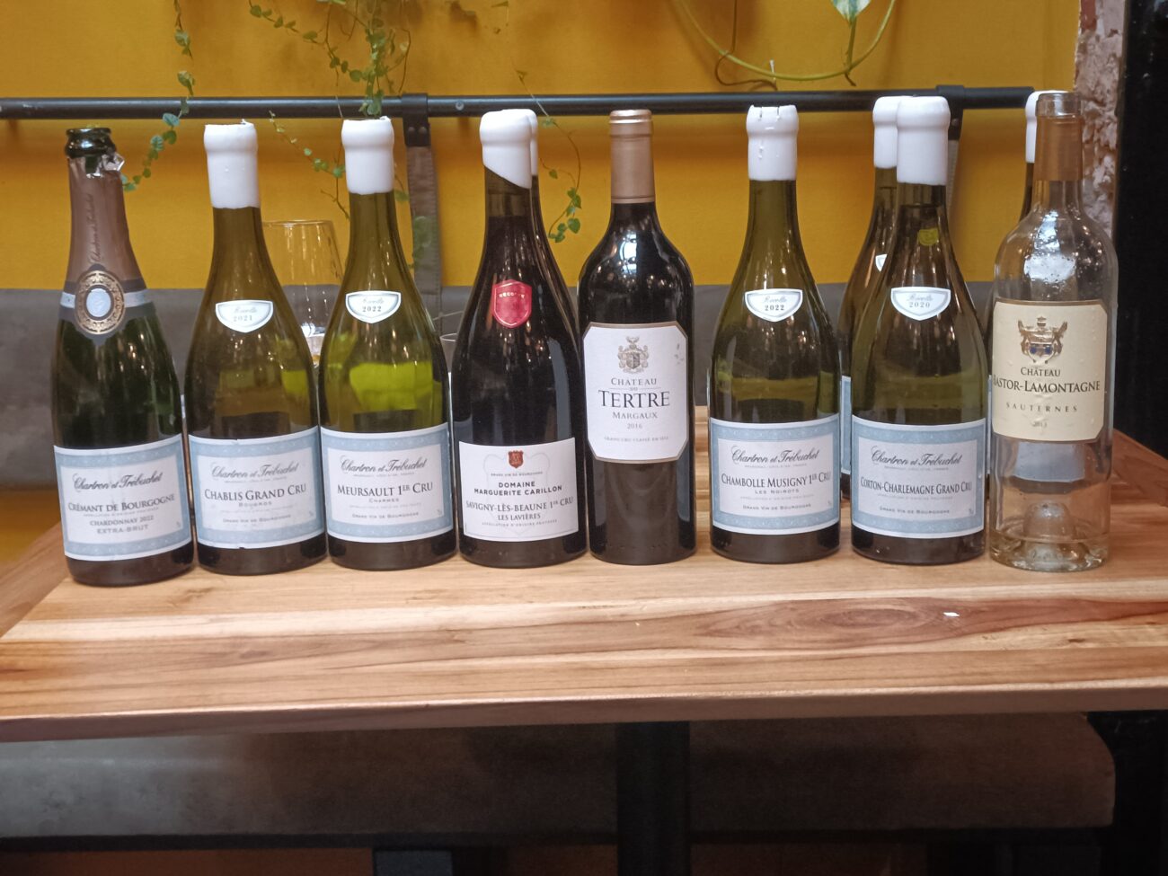 Borgogna vs Bordeaux i vini di Les Grands Chais de France Borgogna vs Bordeaux i vini di Les Grands Chais de France