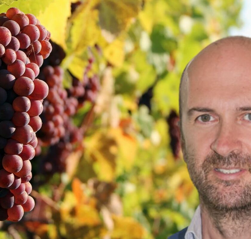 Pinot Grigio delle Venezie bocciato in Scienze Non puo essere resistente professor Michele Morgante direttore scientifico Istituto Genomica Applicata Udine convegno futuro Doc