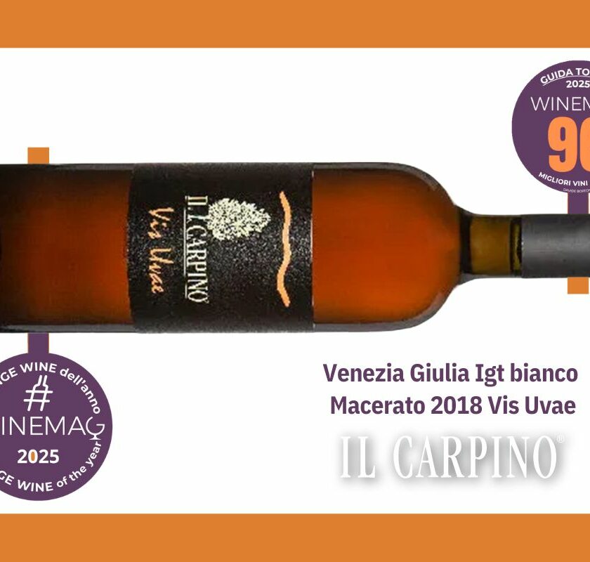 miglior vino orange macerato italiano Venezia Giulia Igt bianco macerato 2018 Vis Uvae Azienda agricola Il Carpino