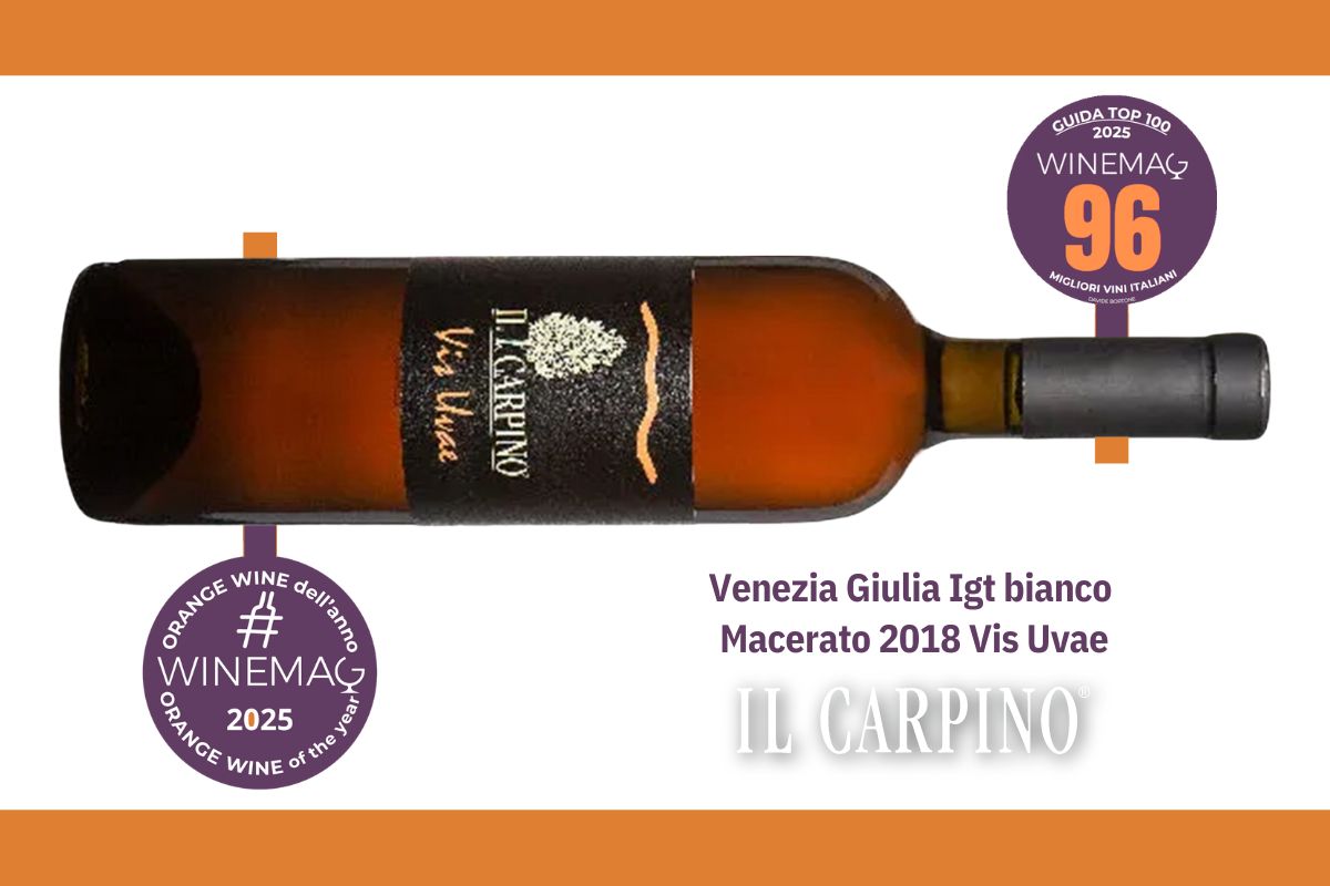 miglior vino orange macerato italiano Venezia Giulia Igt bianco macerato 2018 Vis Uvae Azienda agricola Il Carpino miglior vino orange macerato italiano Venezia Giulia Igt bianco macerato 2018 Vis Uvae Azienda agricola Il Carpino