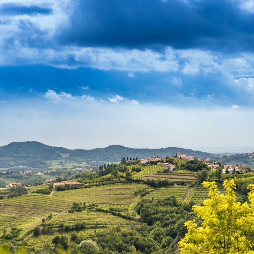 Collio via libera al Vino da Uve macerate