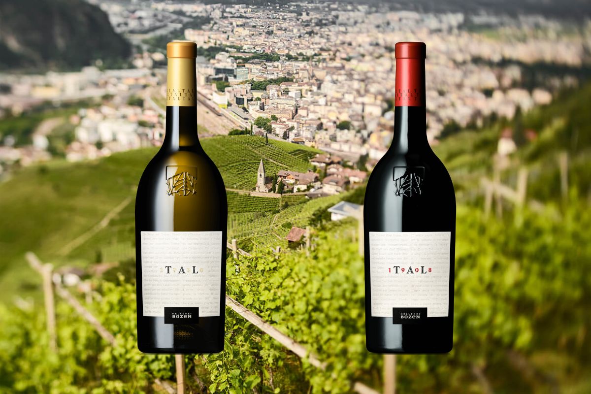 Tal 1930 e Tal 1908 Cantina Bolzano salto di qualità per le cuvée kellerei bozen enologo stephan filippi Tal 1930 e Tal 1908 Cantina Bolzano salto di qualità per le cuvée kellerei bozen enologo stephan filippi