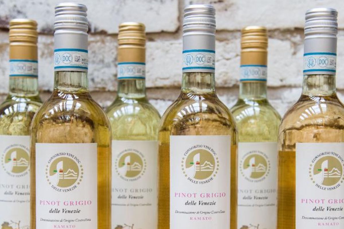 Pinot Grigio delle Venezie crescono imbottigliamenti e certificazioni 2024