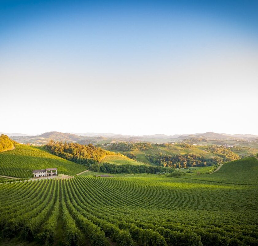 Oltrepo e svolta Metodo classico Classese e piu peso ai vignaioli in Consorzio