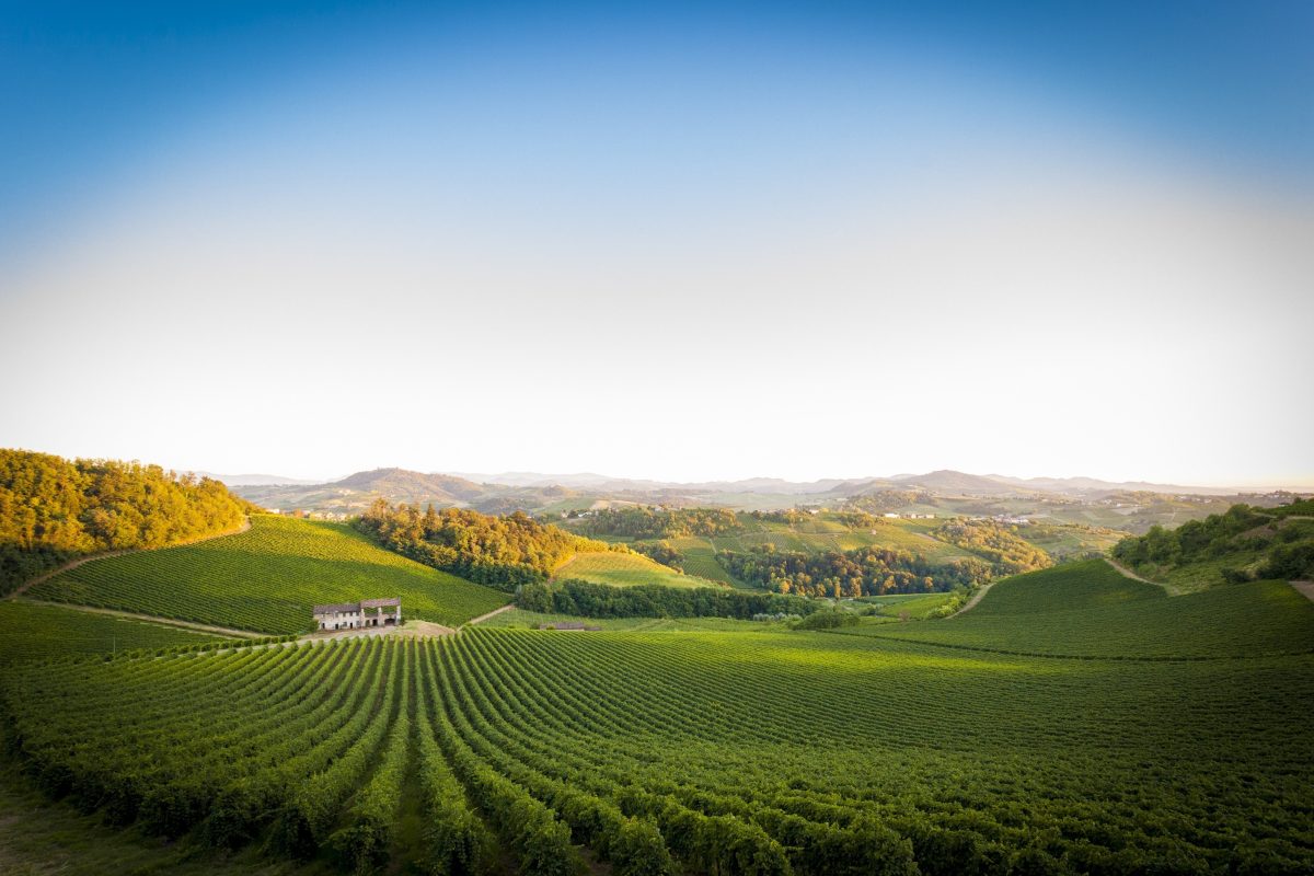 Oltrepo e svolta Metodo classico Classese e piu peso ai vignaioli in Consorzio
