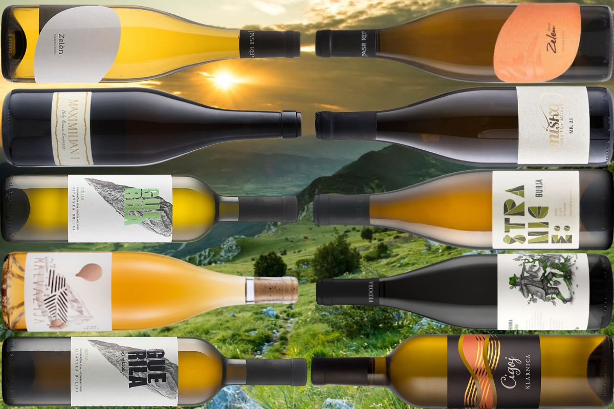 Vipava Valley paradiso nascosto dei vini macerati della Slovenia 10 vini da assaggiare Valle del Vipava valle del Vipacco Vipavska Dolina