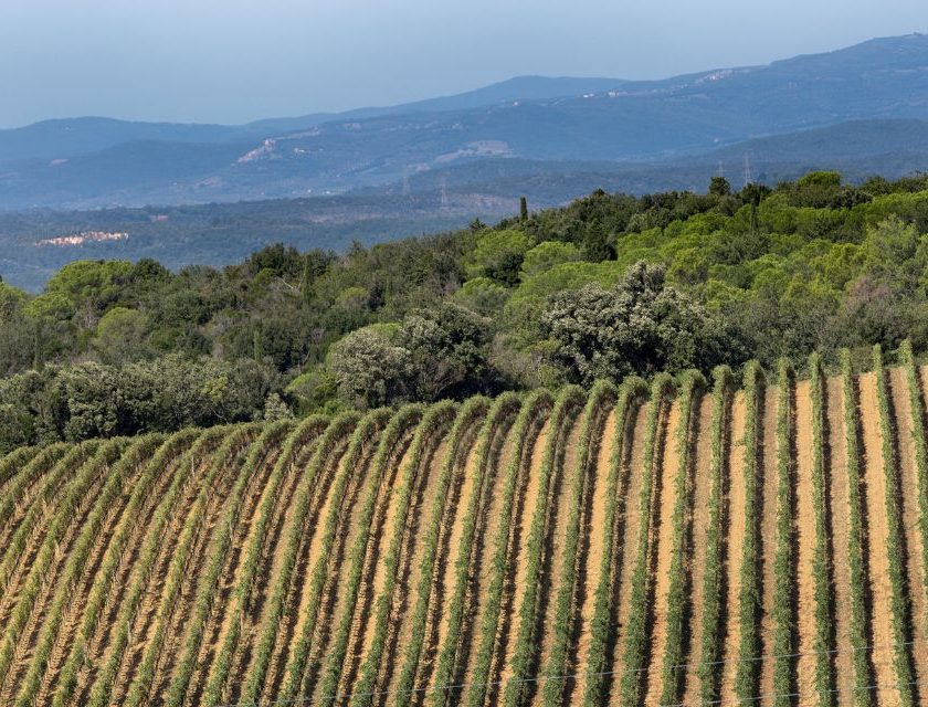 Il Consorzio Montecucco festeggia 25 anni