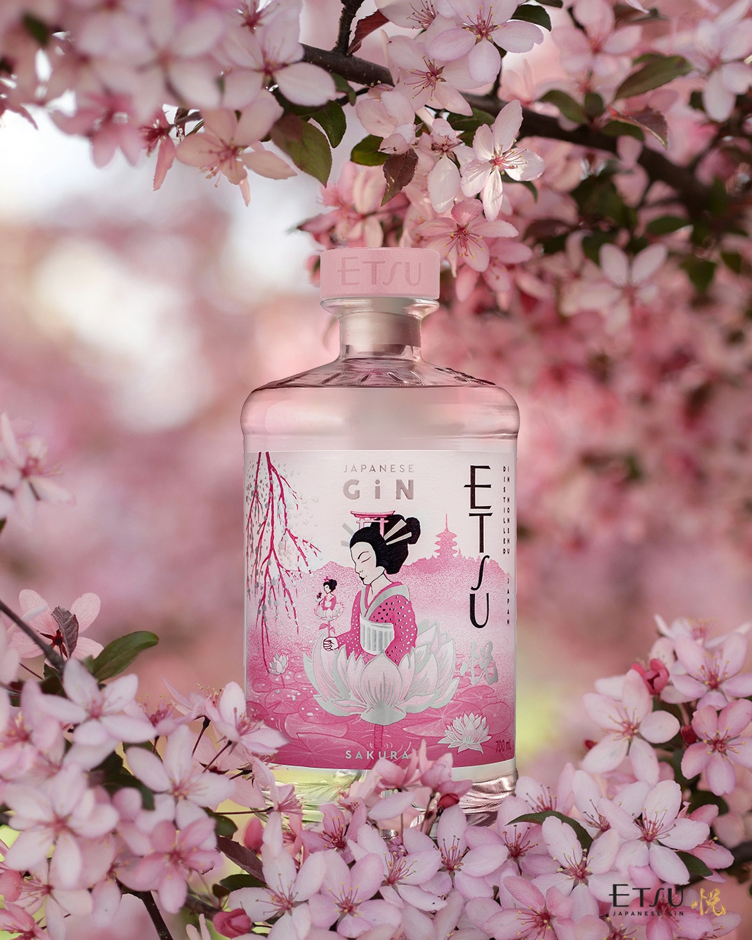 D&C Spa la distribuzione italiana del Beverage, dal dopoguerra ad oggi (5) Etsu Gin