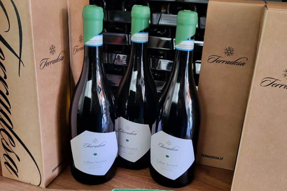 Terradesa nuova cantina enologo Mario Falcetti Colline Novaresi Varesotto ex quadra franciacorta vespolina e barbera azienda agricola erica battaglioli cassano magnago varese (4)