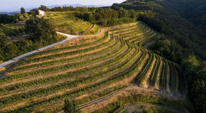 Tenuta La Ponca la scelta di vino (e di vita) di Alex Maccan cantina Scriò di Dolegna del Collio Ribolla Gialla, Malvasia, Friulano, Sauvignon, Chardonnay, Schioppettino