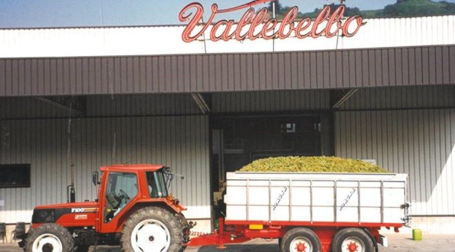 Veraison Group - Vallebelbo alleanza strategica nel vino piemontese langhe cooperativa santo stefano belbo