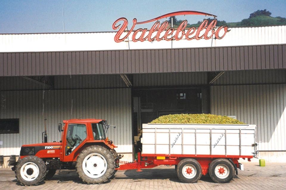 Veraison Group - Vallebelbo alleanza strategica nel vino piemontese langhe cooperativa santo stefano belbo