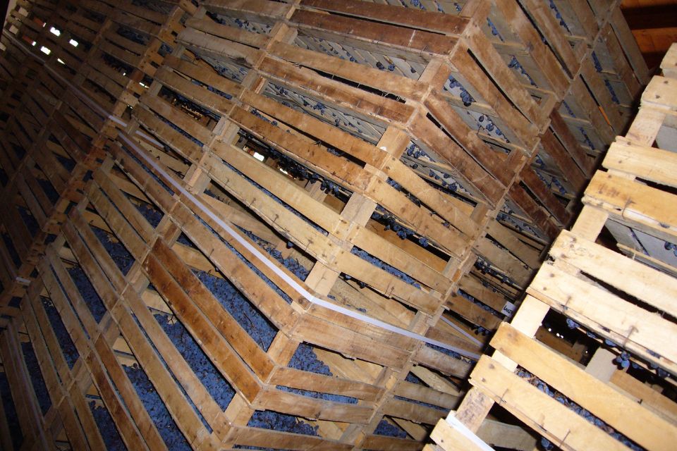 Vini Valpolicella, la ricetta Marchesini «Realismo e responsabilità per affrontare crisi» Valpolicella annual report 2025 presidente consorzio