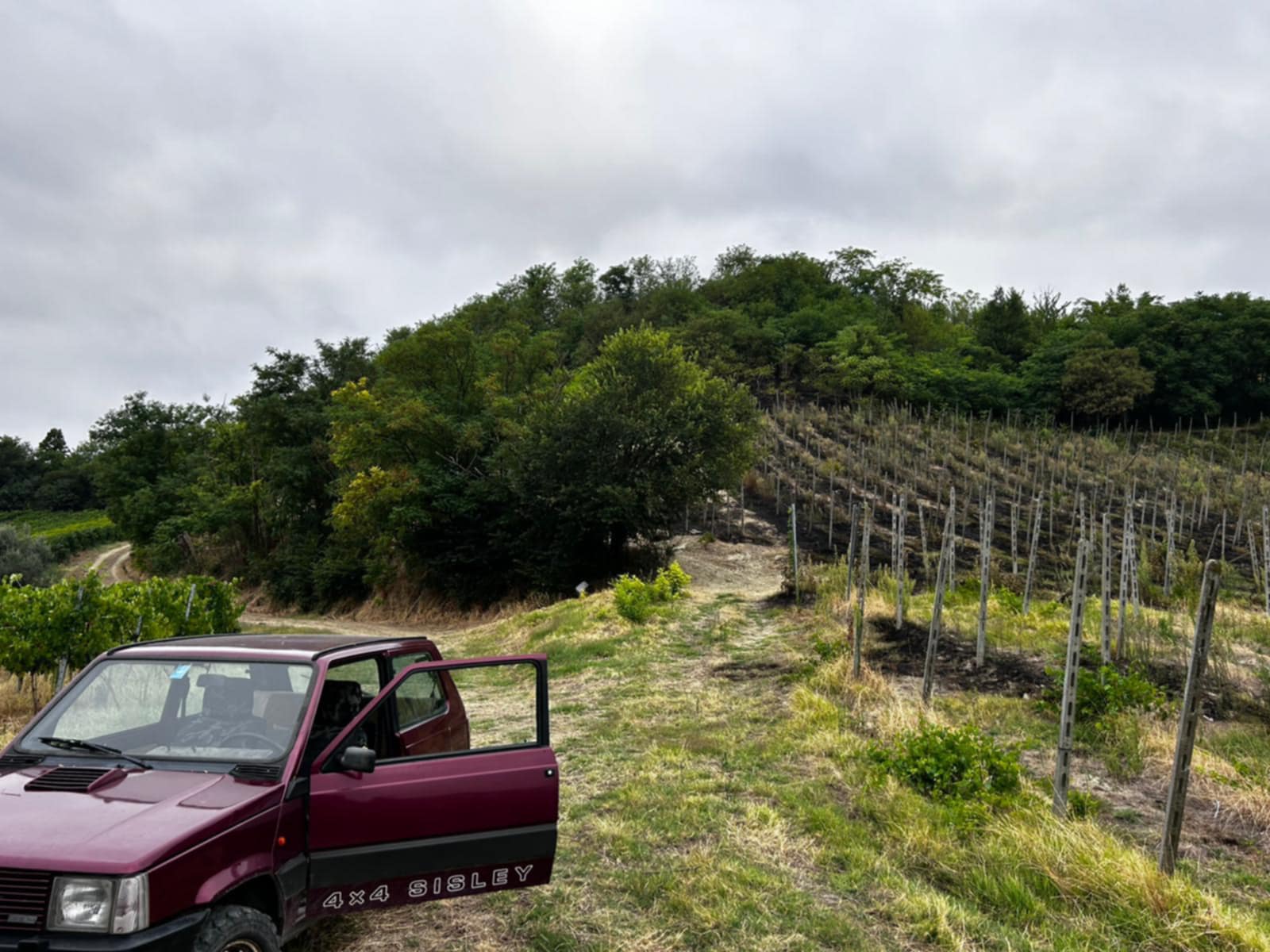 Incendio vigna Oltrepò pavese, Cantina Defilippi parla a Winemag Federico Defilippi «Poteva morire qualcuno» corvino san quirico