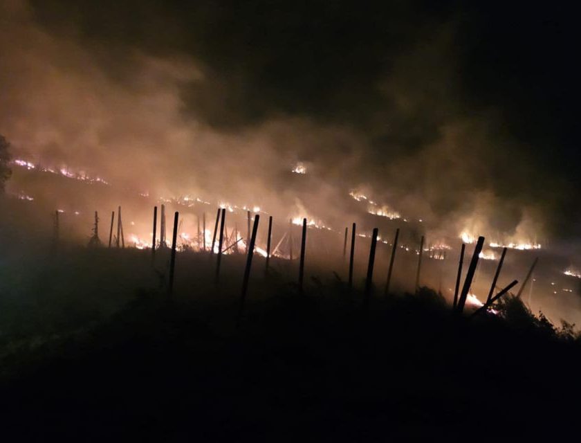 Incendio vigna Oltrepò pavese, Cantina Defilippi parla a Winemag Federico Defilippi «Poteva morire qualcuno» corvino san quirico
