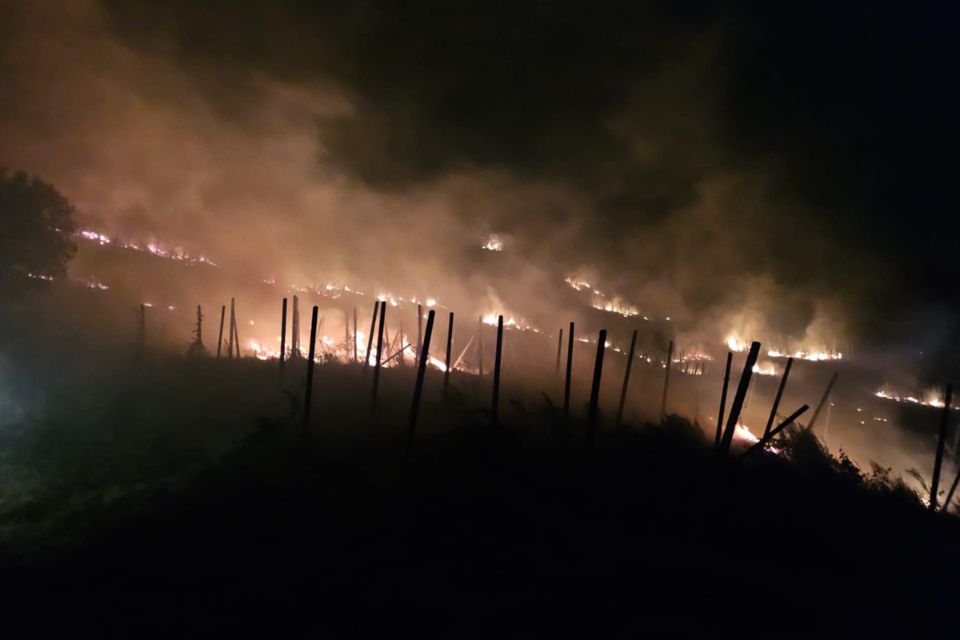 Incendio vigna Oltrepò pavese, Cantina Defilippi parla a Winemag Federico Defilippi «Poteva morire qualcuno» corvino san quirico