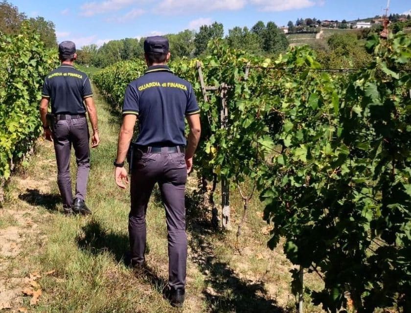 Asti, vendemmia in nero in due aziende di Bubbio e Loazzolo controlli guardia di finanza