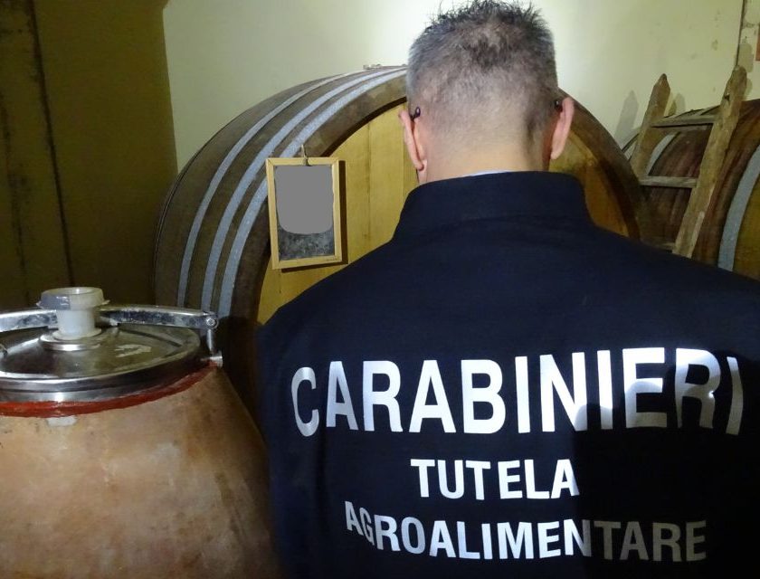 New law against food fraud, Città del Vino: "Greater protection for the wine sector" Fake Zibibbo di Pantelleria international fraud uncovered