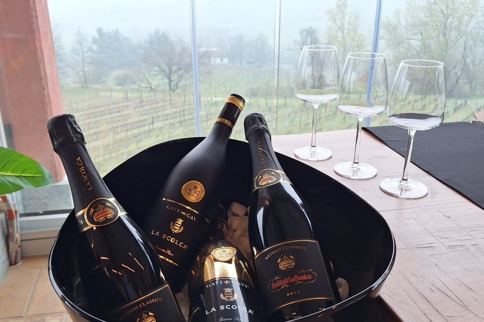 La Scolca celebra la 105ª vendemmia tradizione e futuro del Gavi