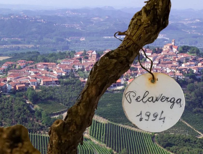 Verduno Pelaverga da rischio scomparsa a 30 anni della Doc nelle Langhe associazione verduno è uno tre migliori verduno pelaverga 2024