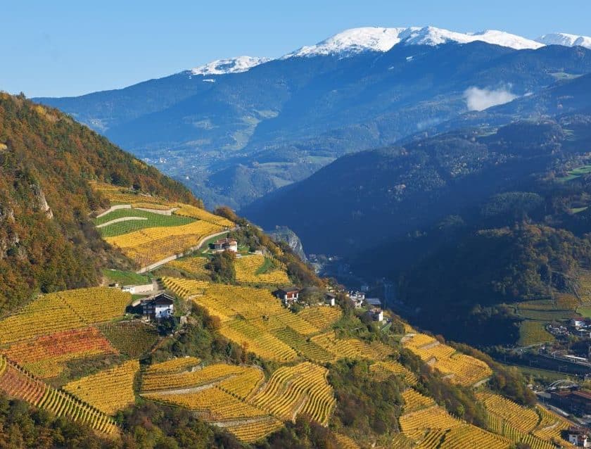 Adamantis 2022, la nuova annata della cuvée simbolo di Cantina Valle Isarco (1)