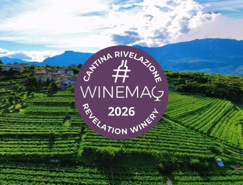 Azienda Agricola Mattè, Cantina Rivelazione Italiana 2026 Guida Winemag