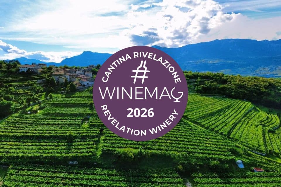 Azienda Agricola Mattè, Cantina Rivelazione Italiana 2026 Guida Winemag