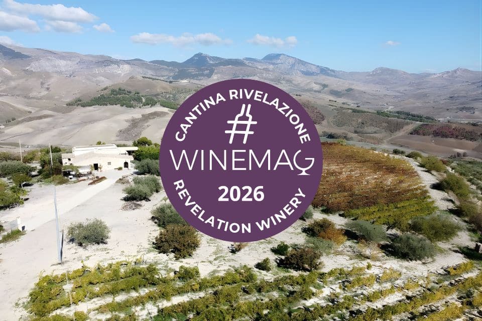 Baronia della Pietra, Cantina Rivelazione Sud Italia 2026 Guida Winemag sicilia migliori vini italiani