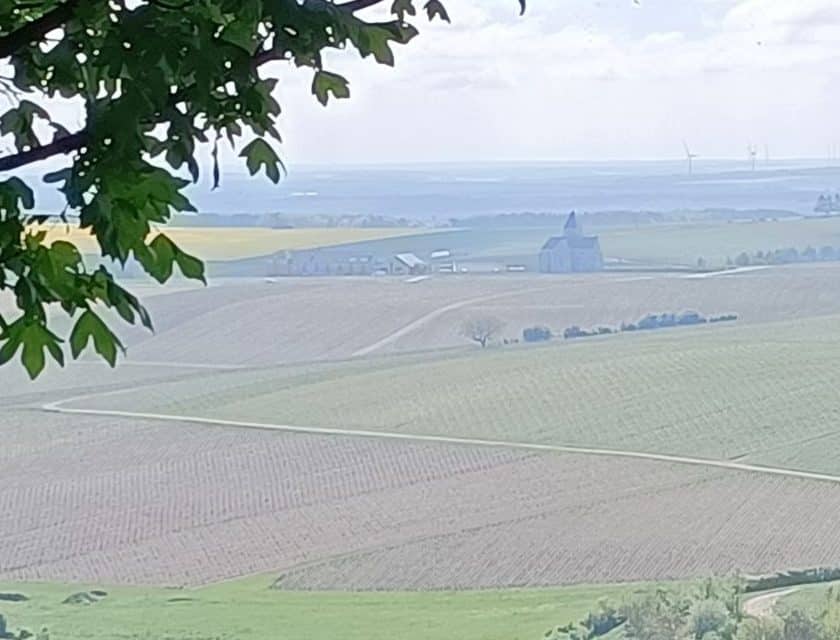 Borgogna mercato del vino tra rallentamento e opportunità (2)
