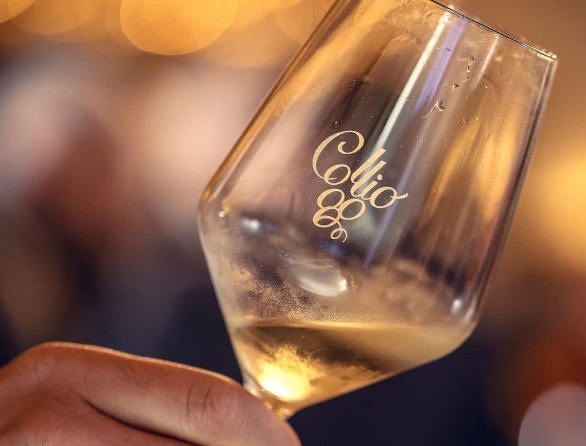 Collio Evolution 2025: fiducia da ricerca Nomisma vino ed enoturismo