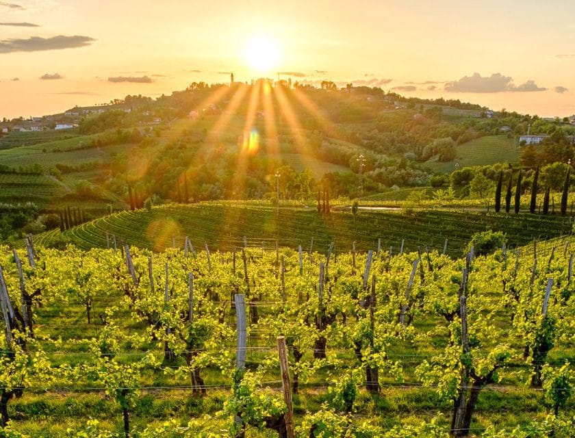 Svolta Friulano a Collio Evolution 2025