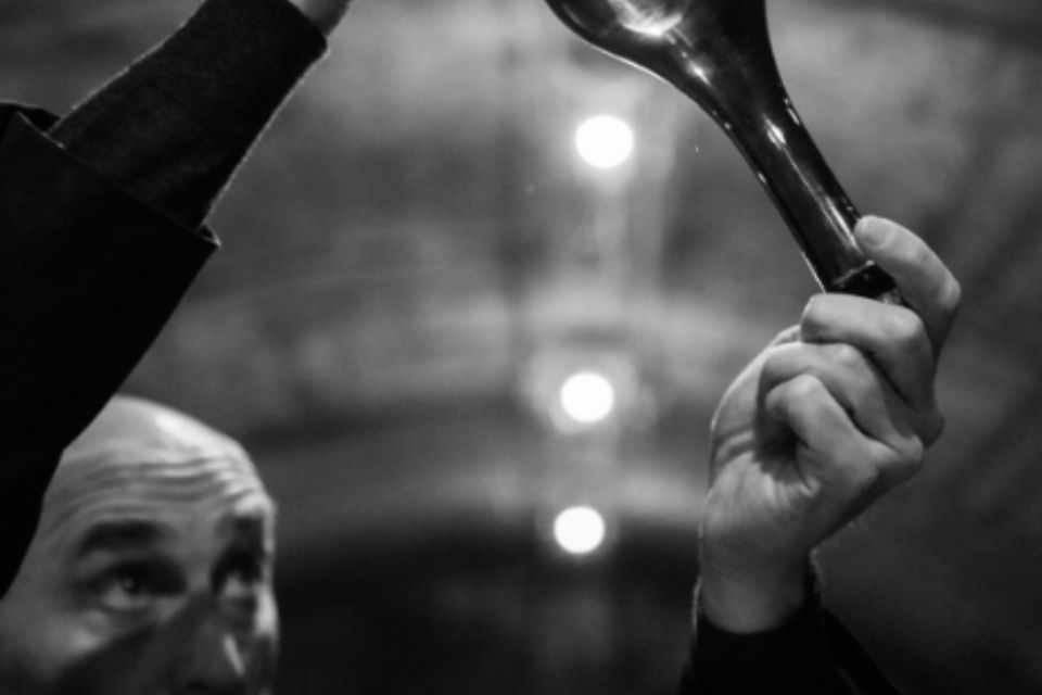 Telmont, la maison di Champagne che ha preso il green per una cosa (davvero) seria. 100% biologico entro 2031 e lancio Réserve de la Terre Rosé leonardo di caprio