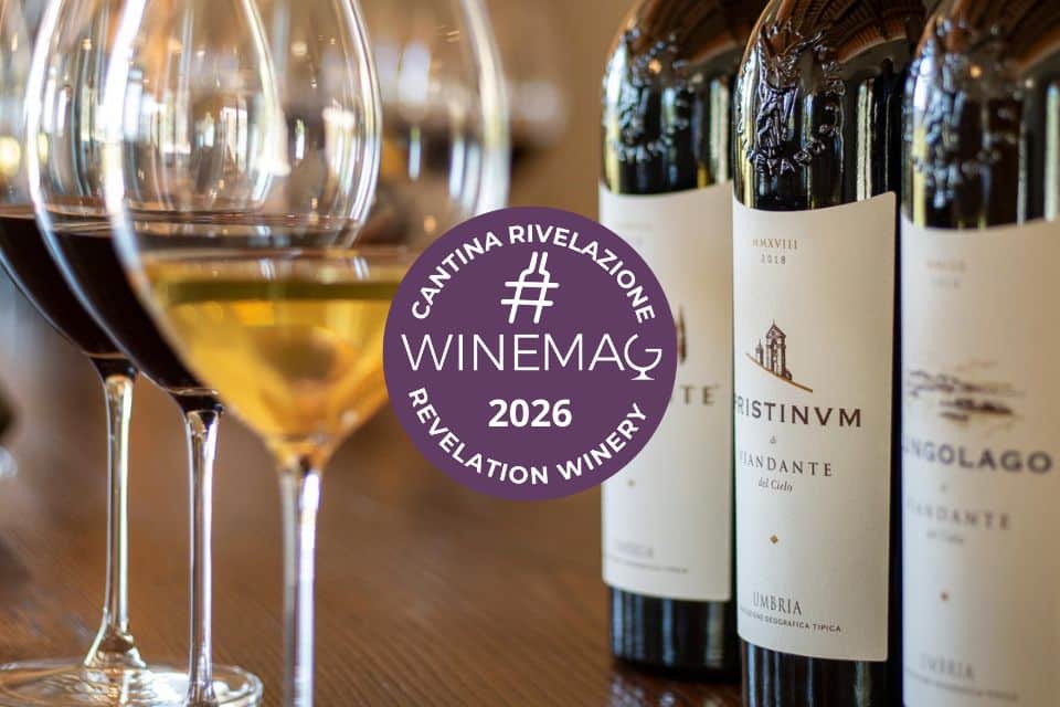 Viandante del Cielo, Cantina Rivelazione Centro Italia 2026 Guida Winemag migliori vini italiani trasimeno