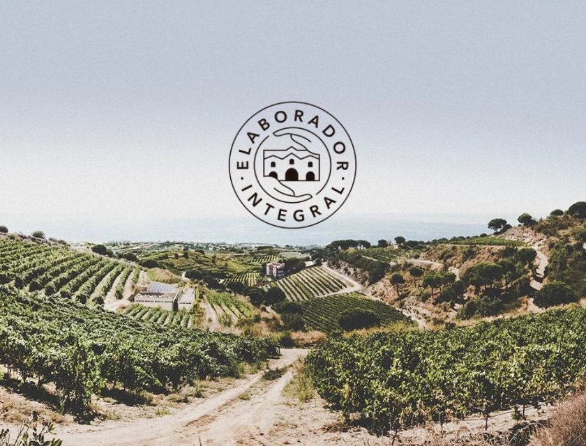 Cava Meeting 2025 celebra Cava Elaborador Integral, i Récoltant-Manipulant spagnoli modello Champagne metodo classico spagnolo 13 cava virtuosi da assaggiare