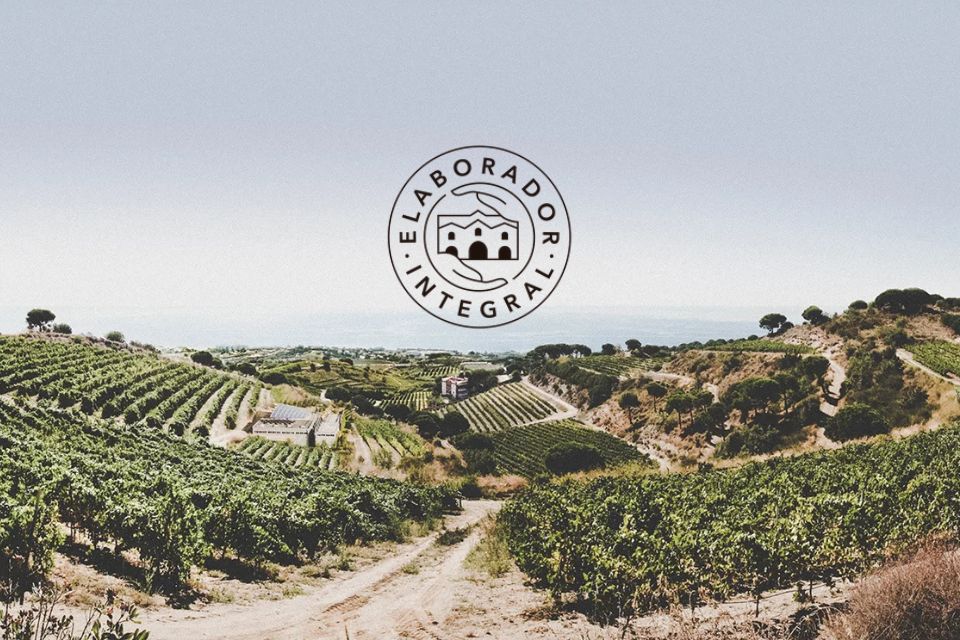 Cava Meeting 2025 celebra Cava Elaborador Integral, i Récoltant-Manipulant spagnoli modello Champagne metodo classico spagnolo 13 cava virtuosi da assaggiare