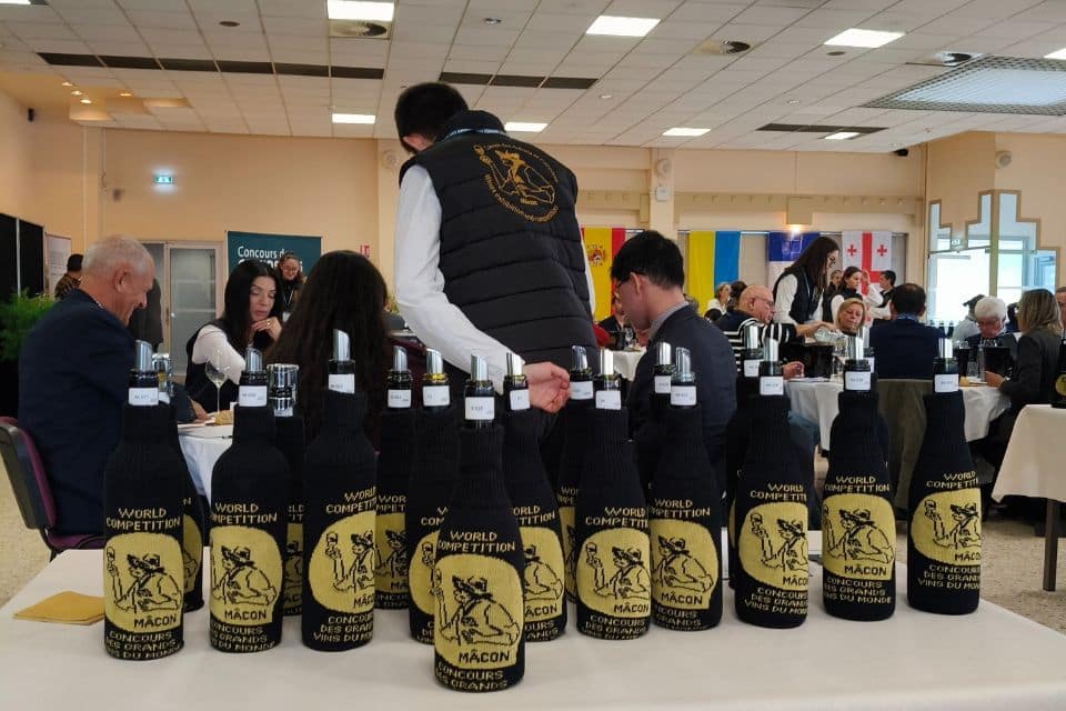 Concours des Grands Vins du Monde di Macon quello che nessuno vi dirà