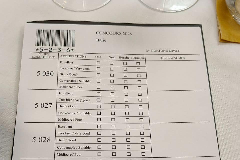 Concours des Grands Vins du Monde di Macon quello che nessuno vi dirà