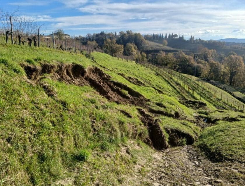 Conto corrente per le cantine del Collio dopo la calamità (fotogallery)