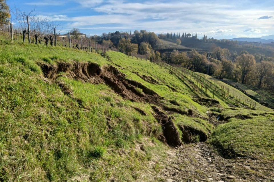 Conto corrente per le cantine del Collio dopo la calamità (fotogallery)